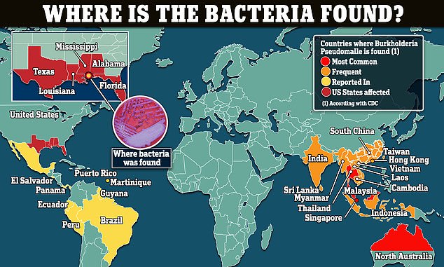 The above map shows countries where the bacteria has been detected and the states in the US where the CDC says it is now endemic