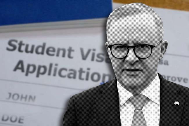 Albanese Government taking steps to avoid student visa crash