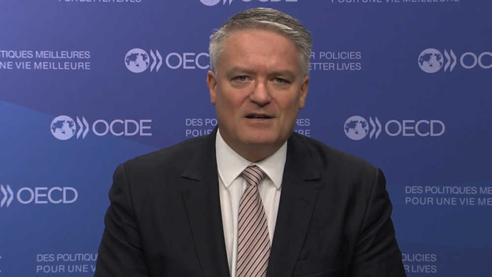 OECD accused of pressuring Albanese Government to weaken tax evasion laws